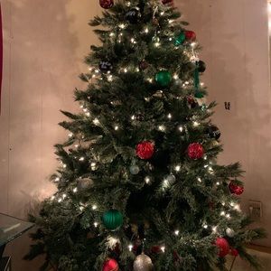 Meet your Posher, Trina